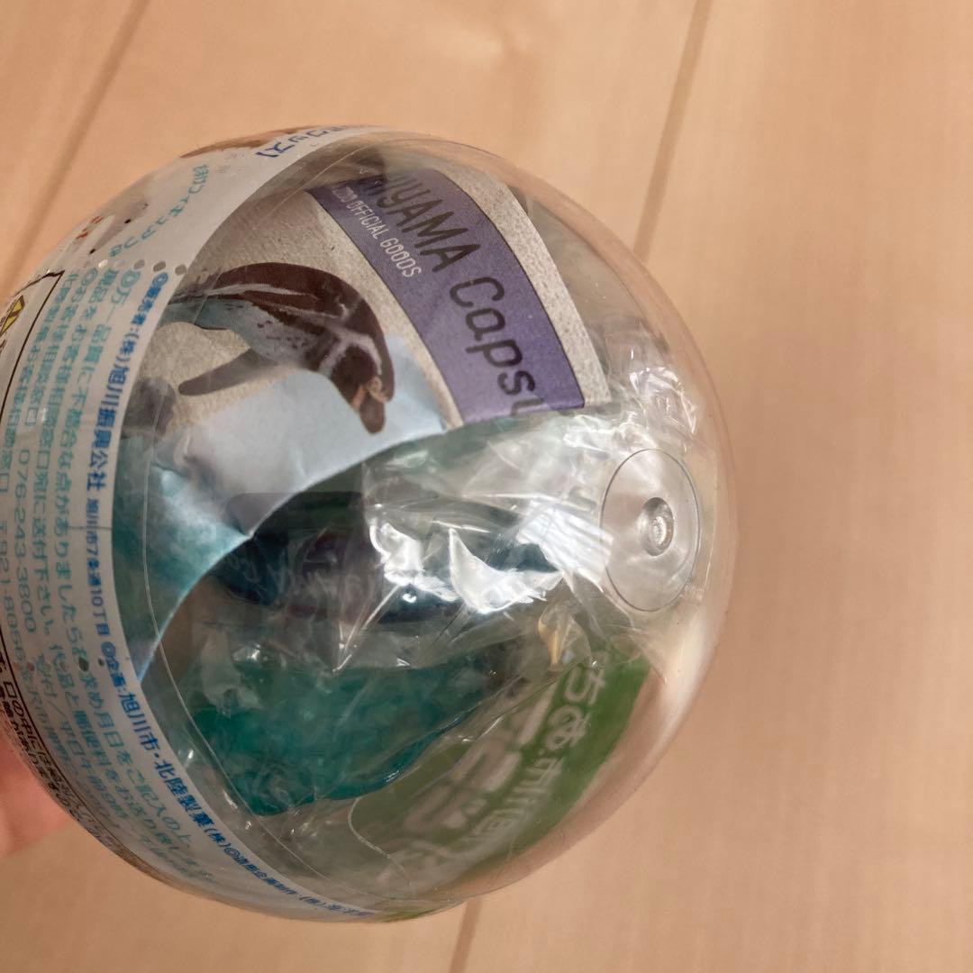 新品未開封　海洋堂　ガチャ　あさひやまどうぶつえん　vol.1 6種