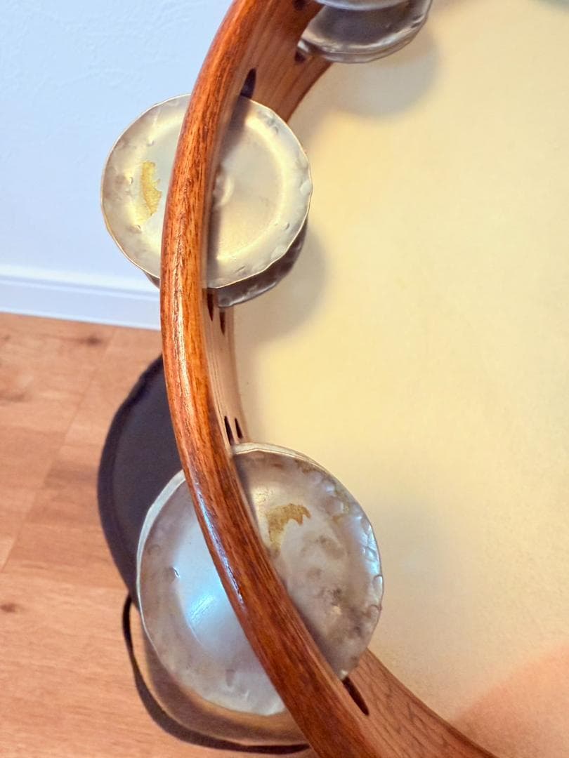 Black Swamp タンバリン 正規品 専用ケース付き