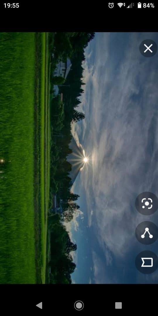 減農薬　コシヒカリ　10kg　令和7年産