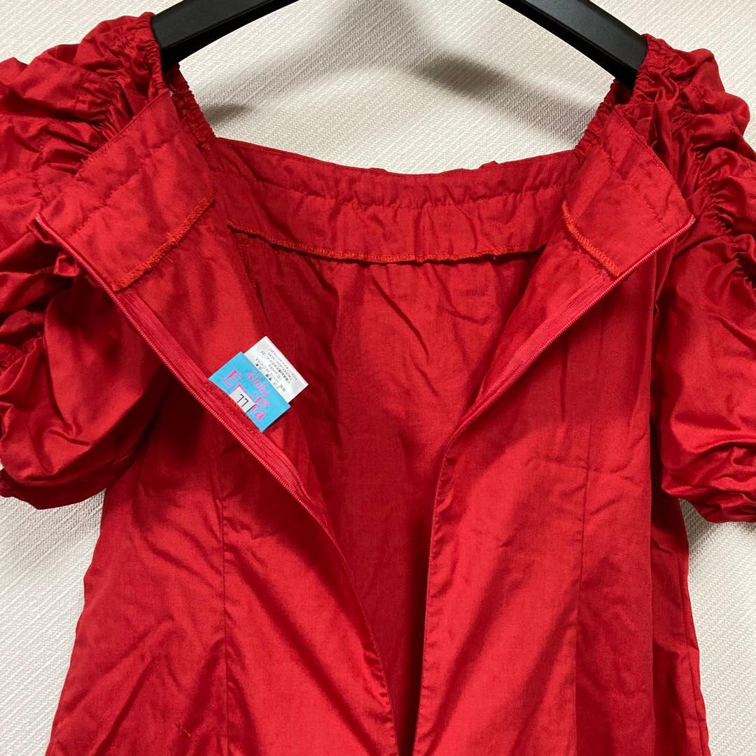 フラダンス衣装(2着)