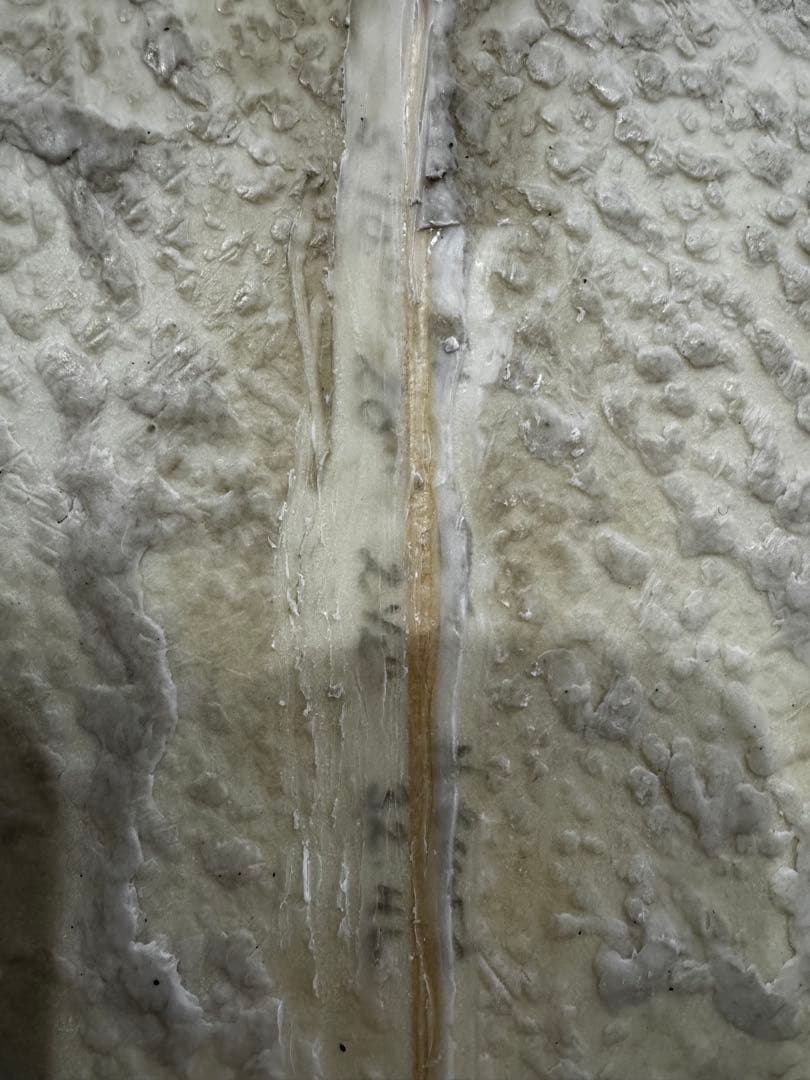 チャンネルアイランド アルメリック ネックベアード