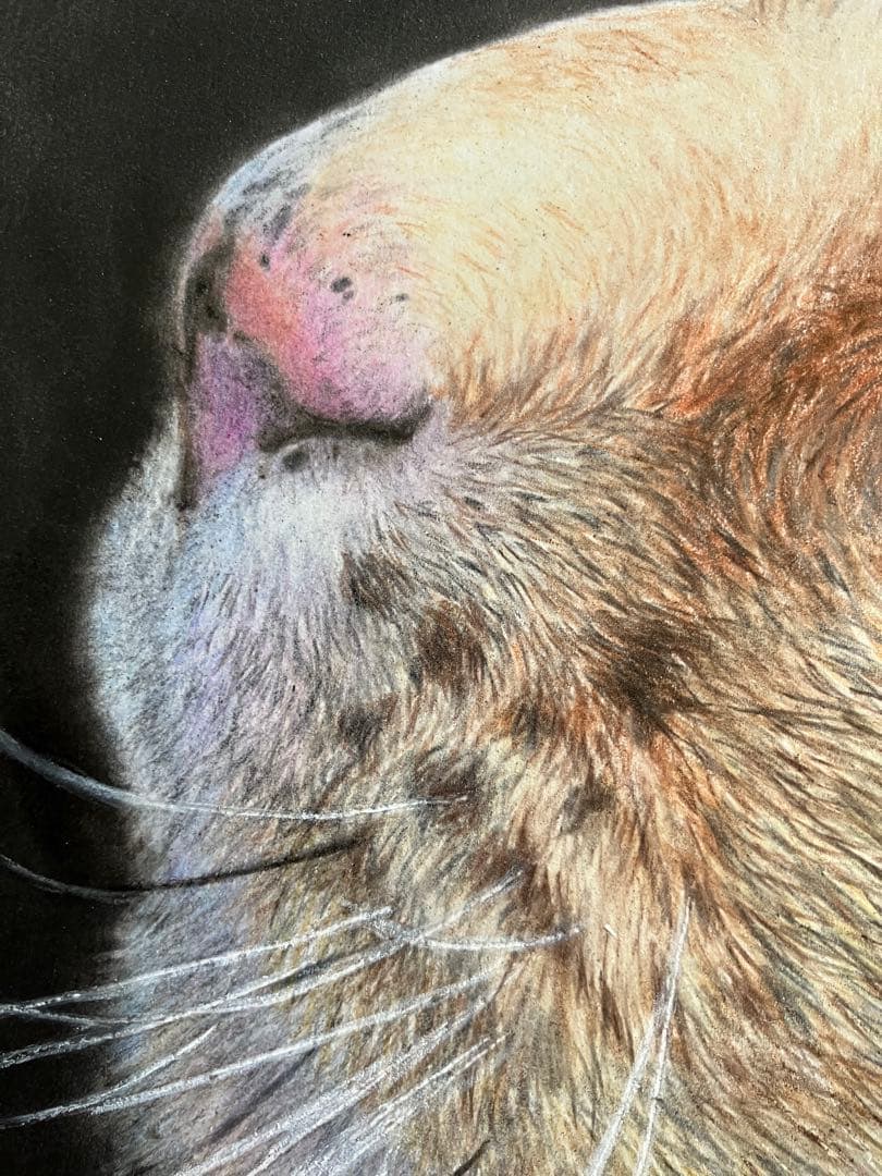 hunt 色鉛筆画 パステル