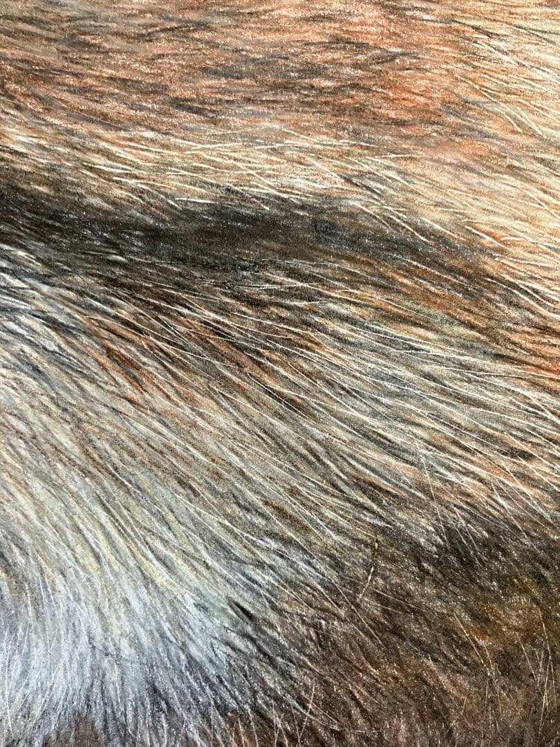 hunt 色鉛筆画 パステル