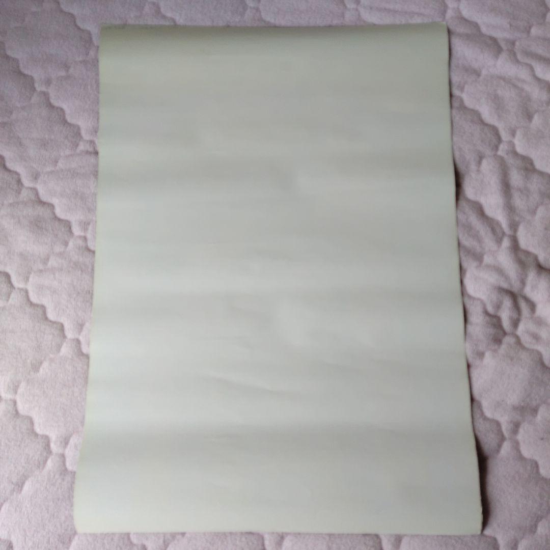 フ*ン様 ＜おまけ3枚追加＞安室奈美恵 ポスター shine more