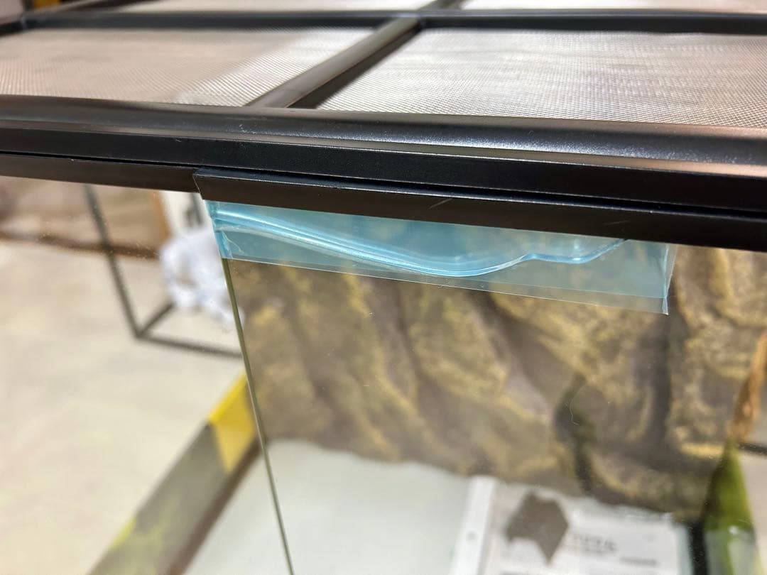 （大型）爬虫類ケージ　ＧＥＸ　エキゾテラ　グラステラリウム　６０６０　爬虫類