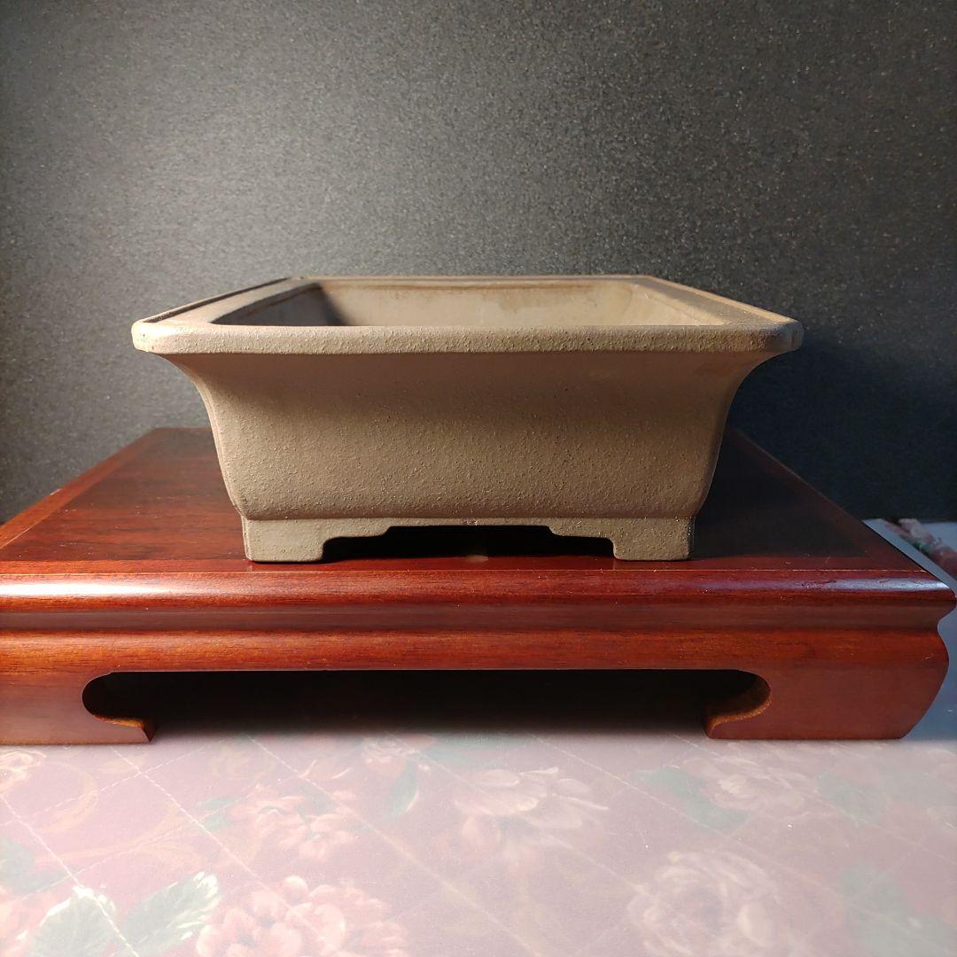 専山　専山造印　盆栽鉢　植木鉢　盆栽