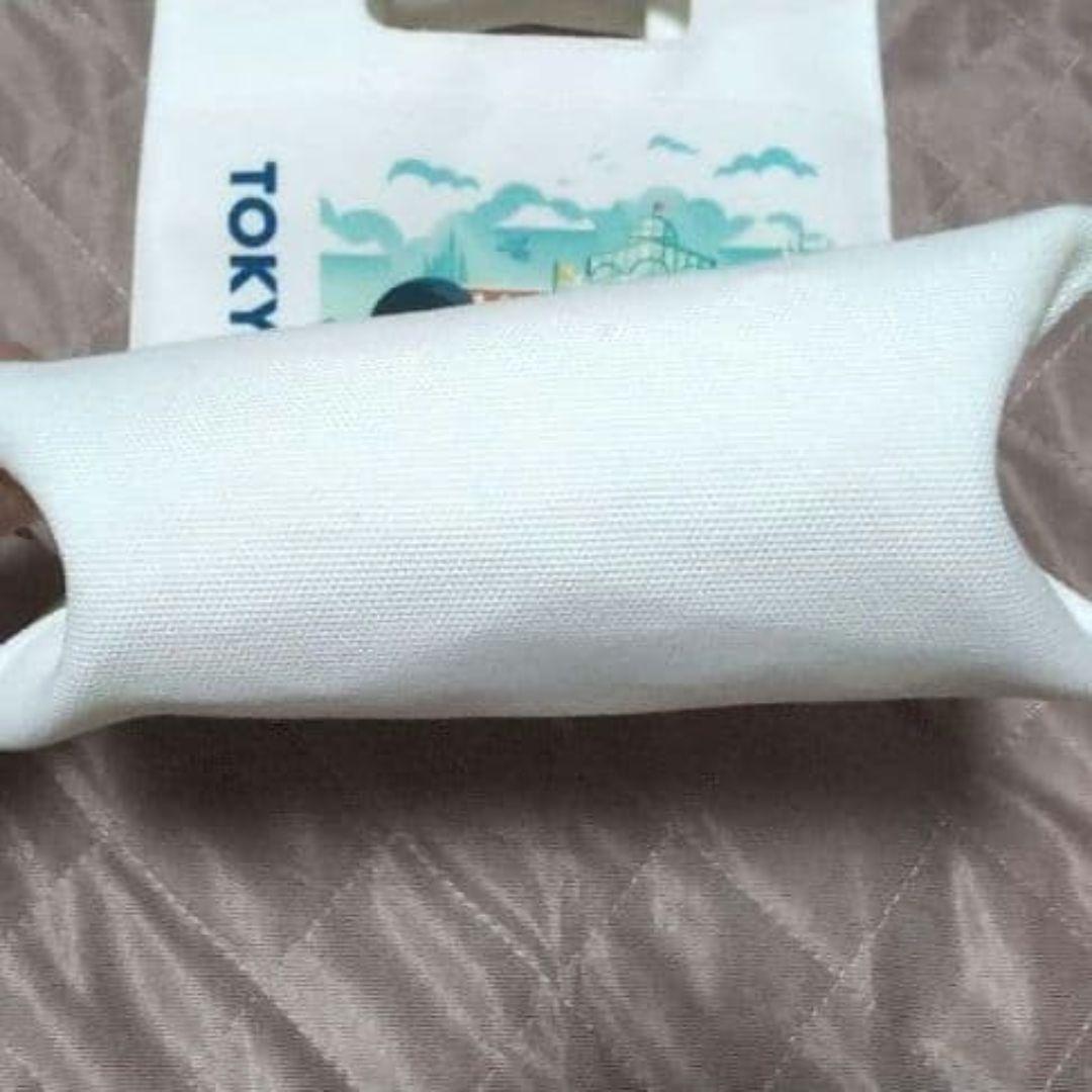 ディズニーリゾート　お土産袋型バッグ　ミッキーマウス　ミニーマウス