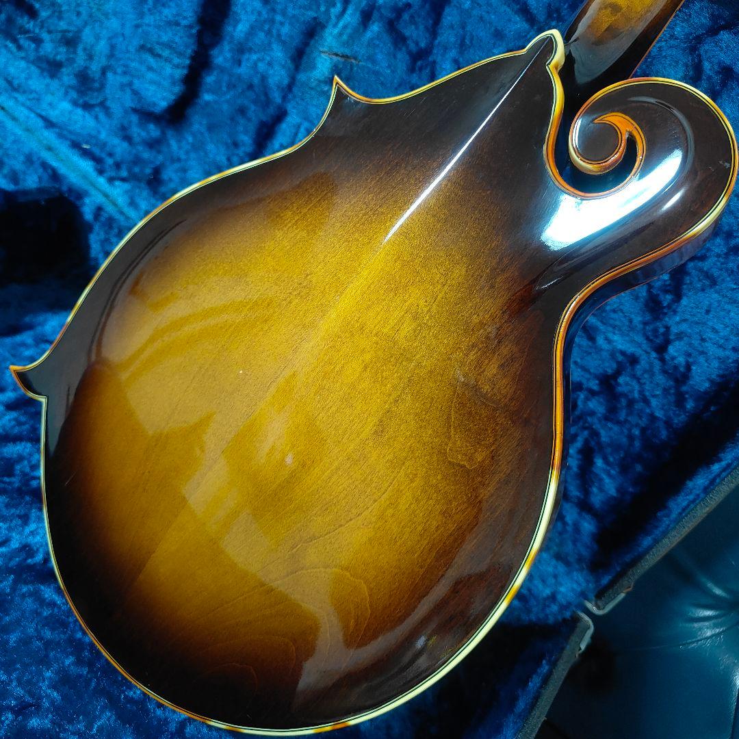 BLUE BELL F-10 マンドリン ブルーベル