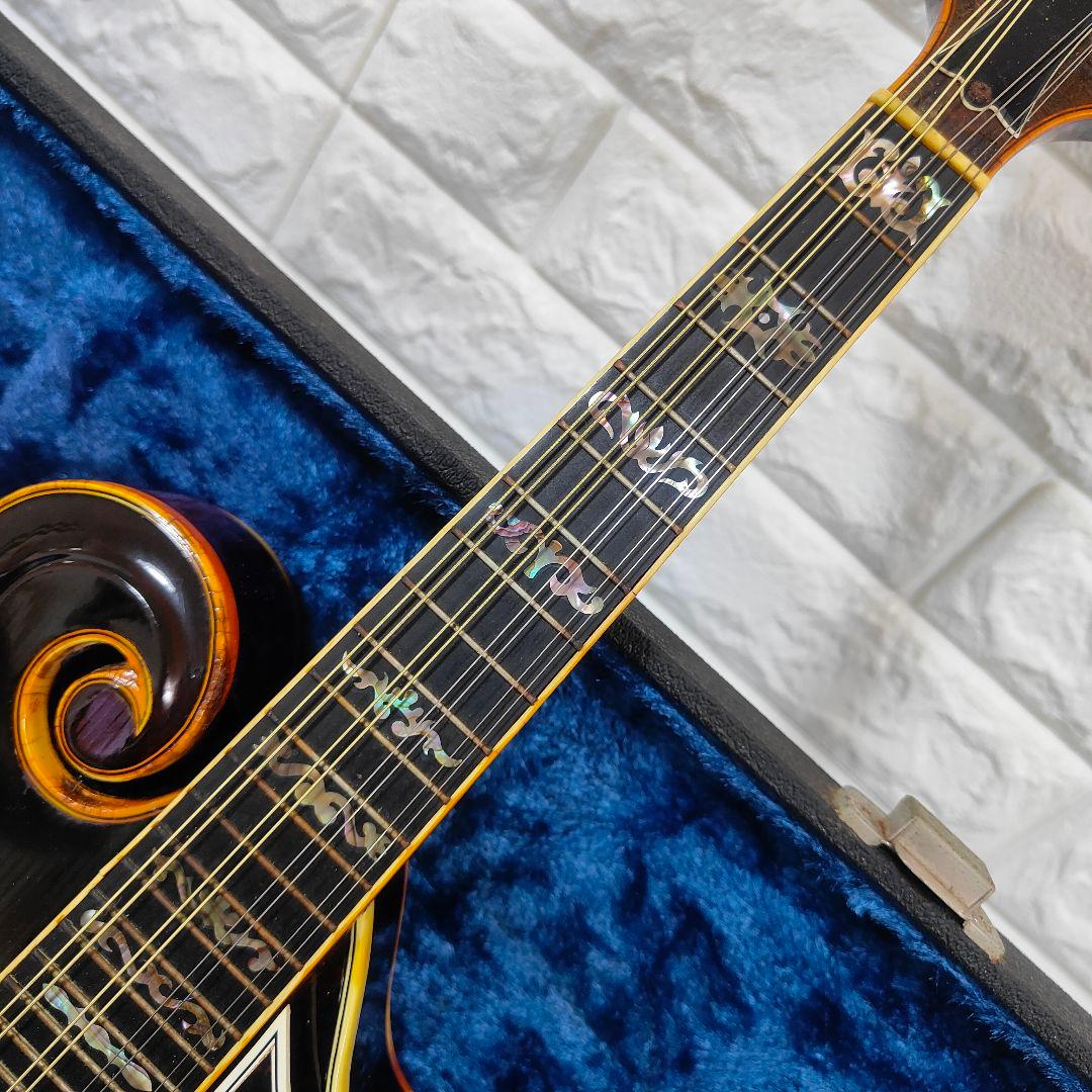 BLUE BELL F-10 マンドリン ブルーベル