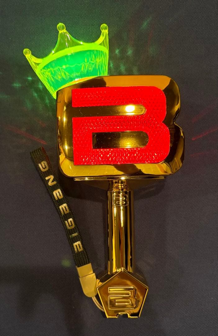 BIGBANG 10周年限定 ペンライト ペンライトケース