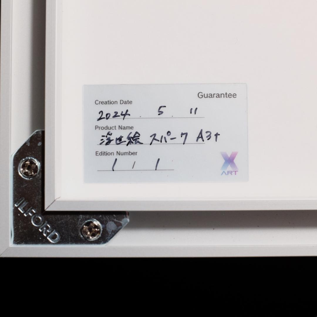 望月しいな X-ART 浮世絵スパークA3＋ 直筆サイン入り 複製原画 xart