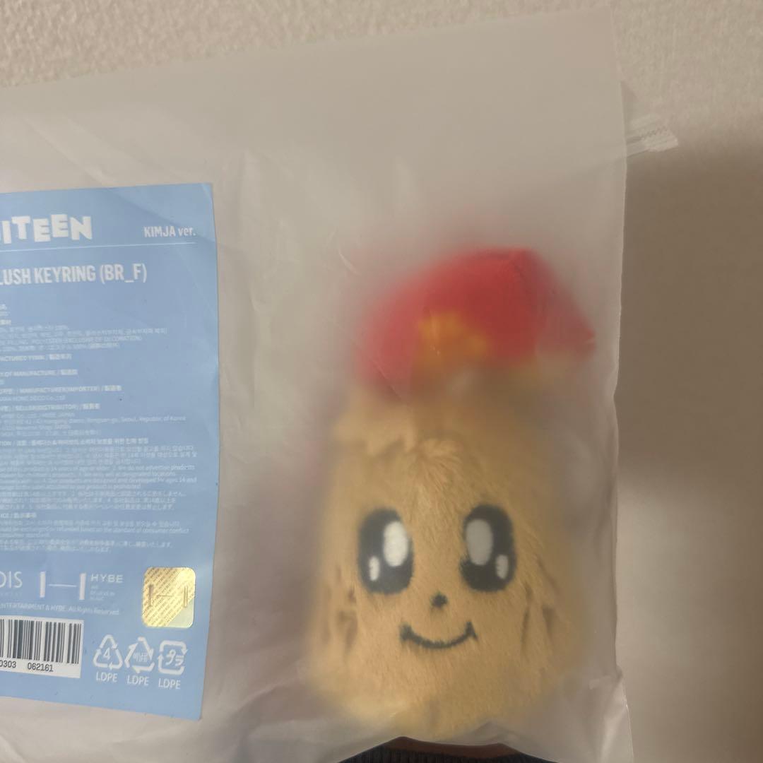 seventeen セブチ miniteen ミニティーン キムジャ ミンギュ