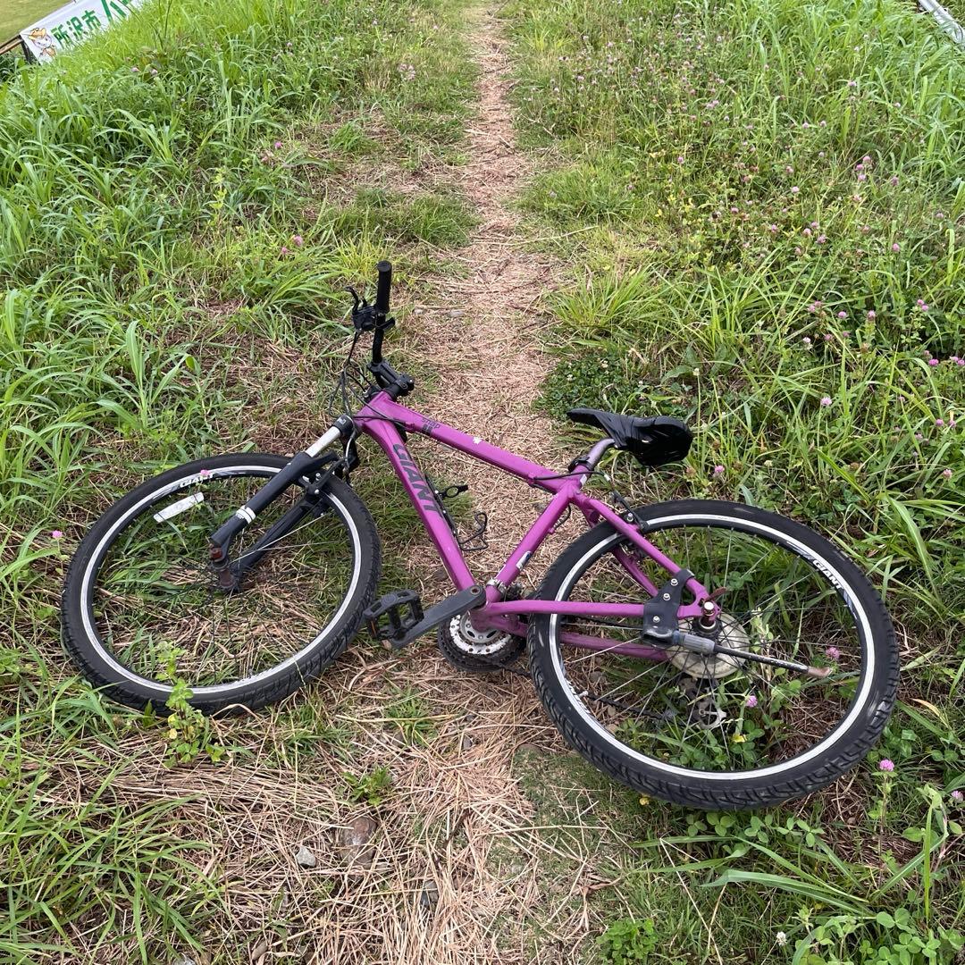 giant snap 2012 東京都発　マウンテンバイク　sサイズ　430mm