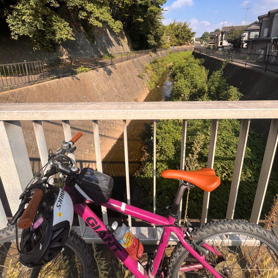 giant snap 2012 東京都発　マウンテンバイク　sサイズ　430mm