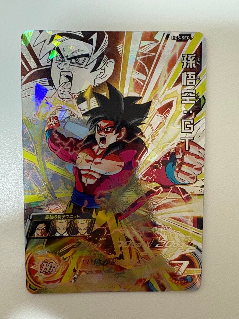 hg-5 sec p 孫悟空gt