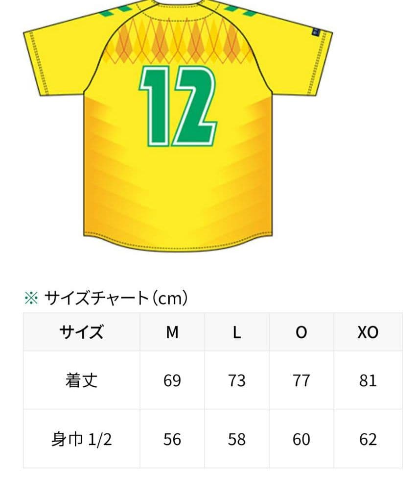 ジェフユナイテッド市原・千葉 　ベースボールシャツ2025