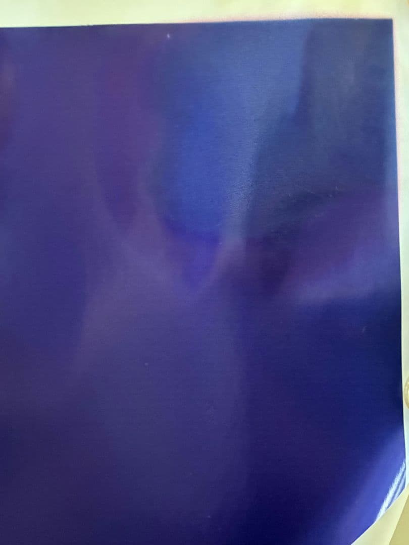 希少☆大判ポスター☆Jonathan Livingston Seagull