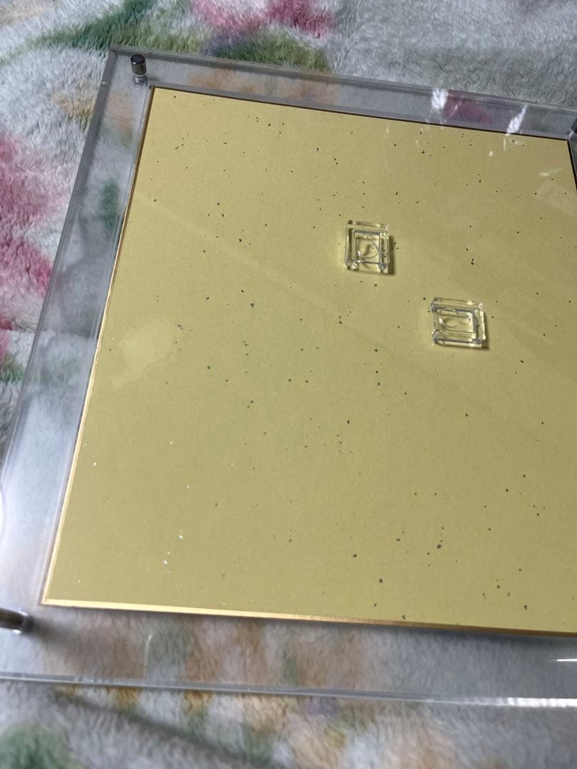 オカダ　カズチカ　サイン