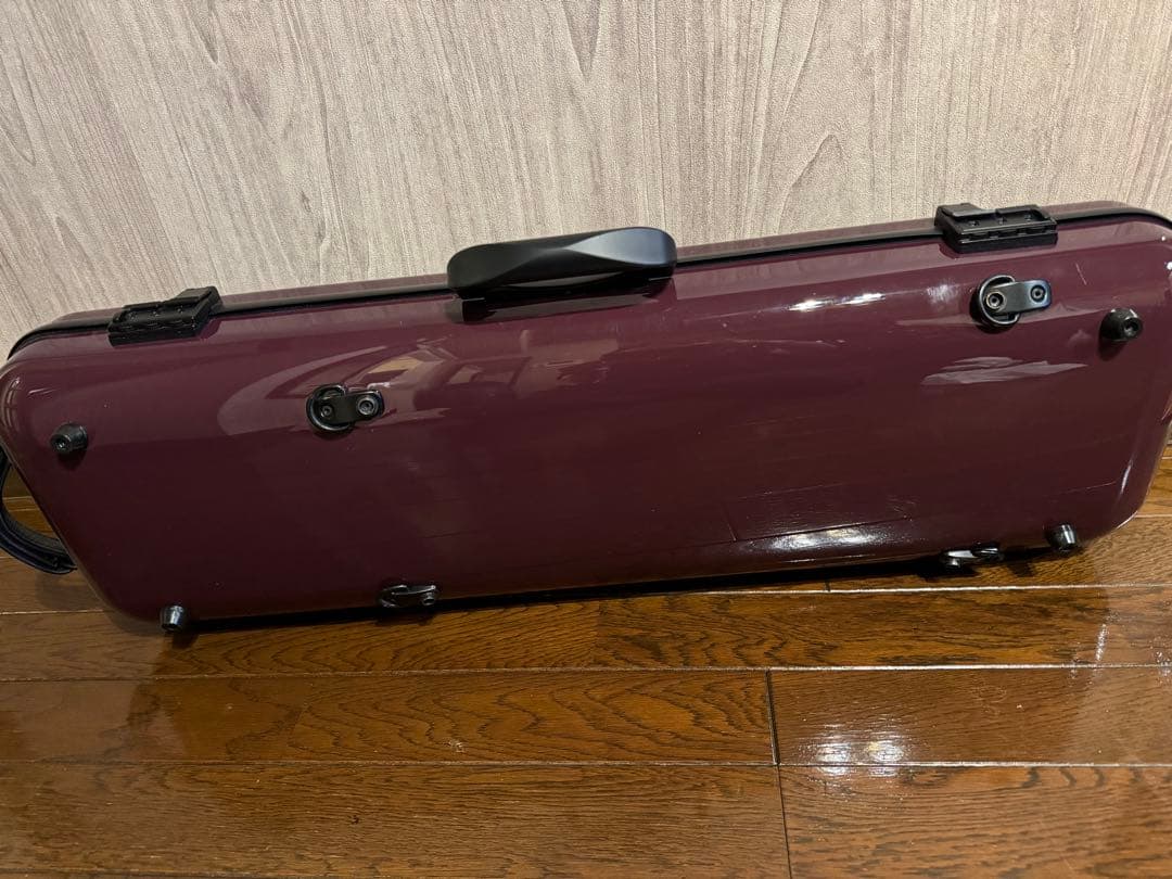 GEWA air 2.1 バイオリン4/4 オブロングケース