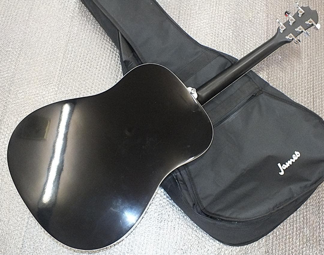 ☆　James・J-450D・Ova BLK・ジェームス・エレアコ