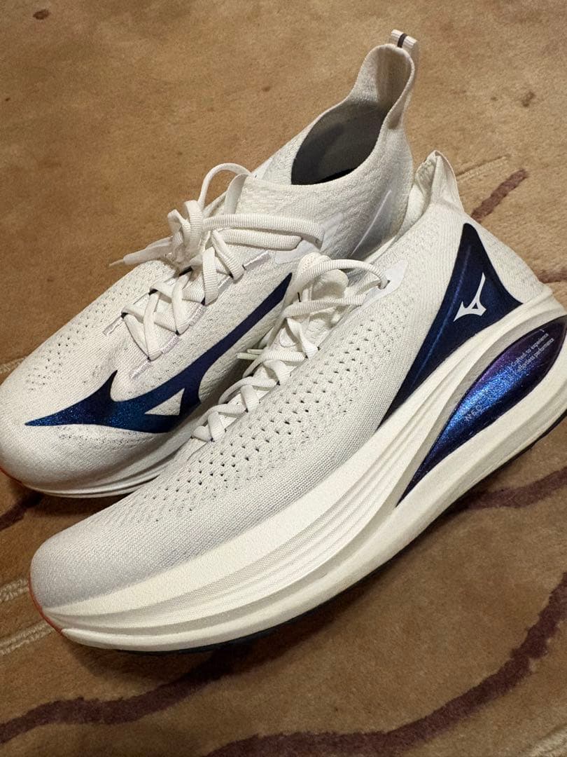 Mizuno ネオビスタ2 27.5