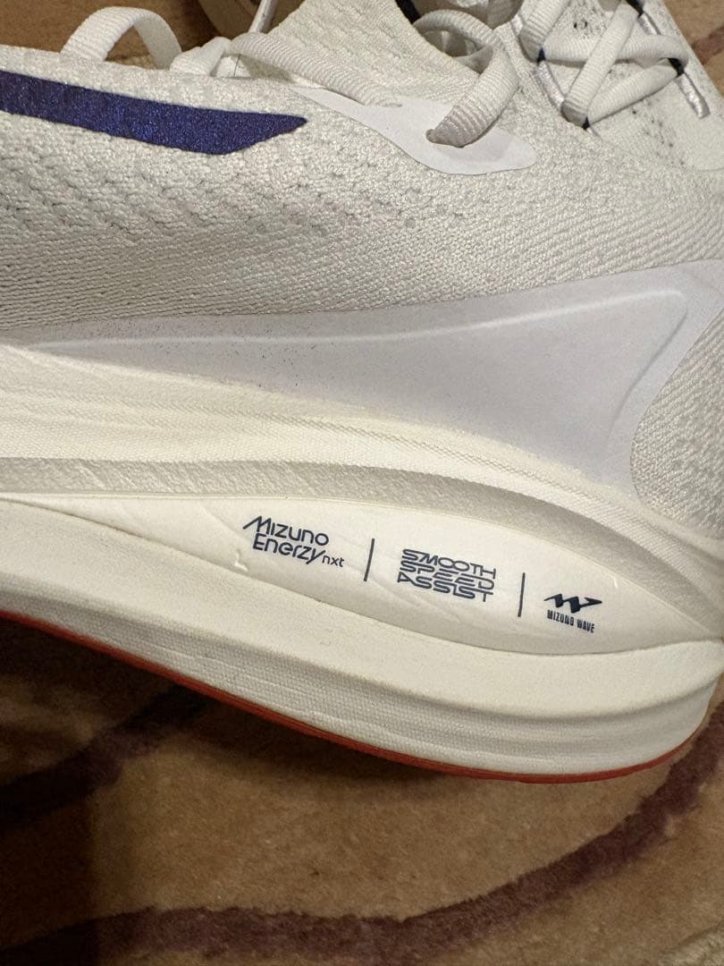 Mizuno ネオビスタ2 27.5