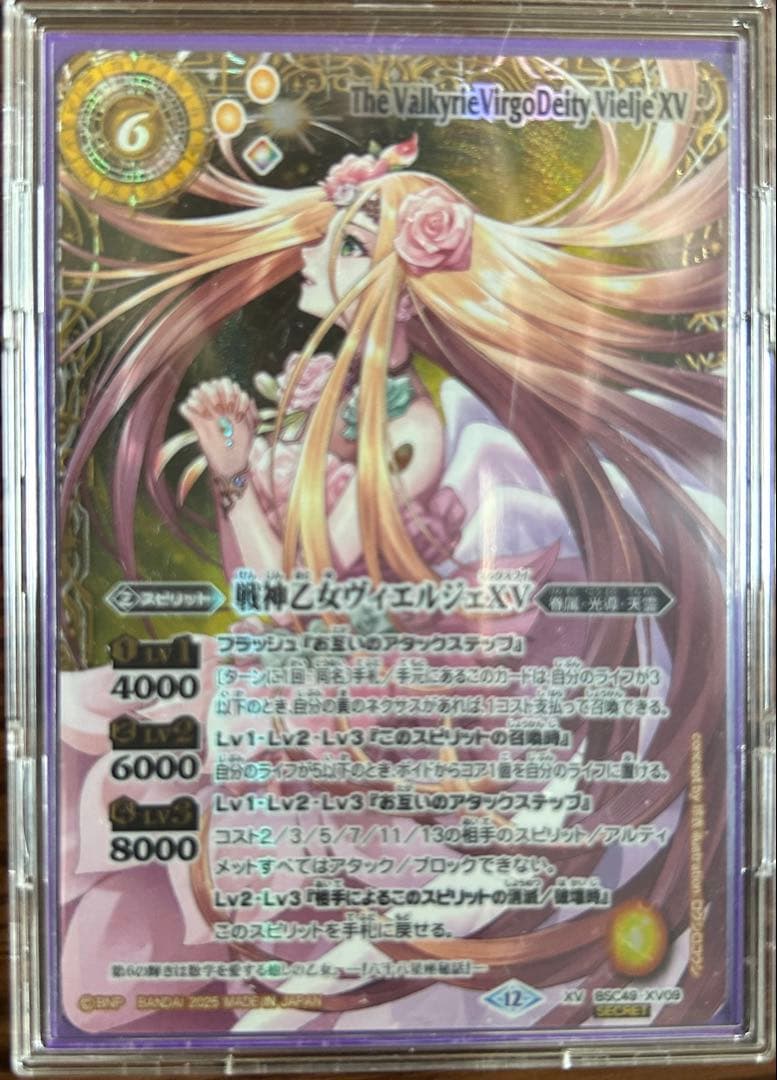 戦神乙女ヴィエルジェXV secret