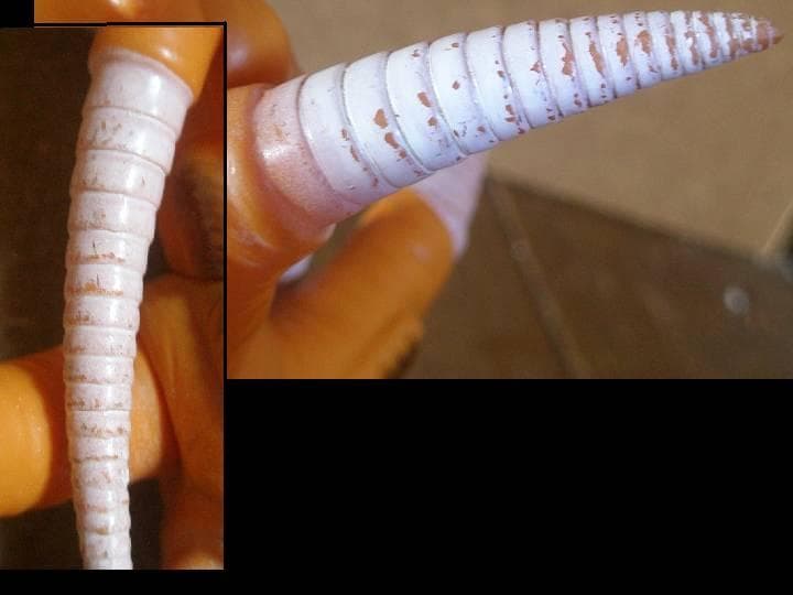 ダークロン ソフビ怪獣