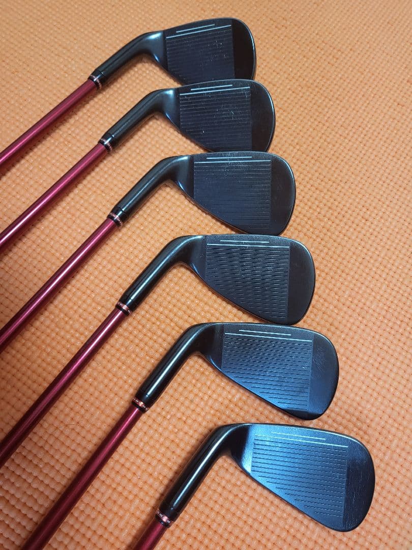 販売期間1月17日まで【限定品】ロッディオ(Roddio) アイアンセット