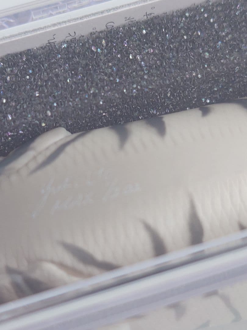 メガバス ポップマックス 限定 SP-C 干支 '10 寅 白虎 新品未開封