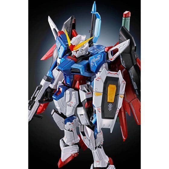 RG デスティニーガンダム チタニウムフィニッシュ+光の翼