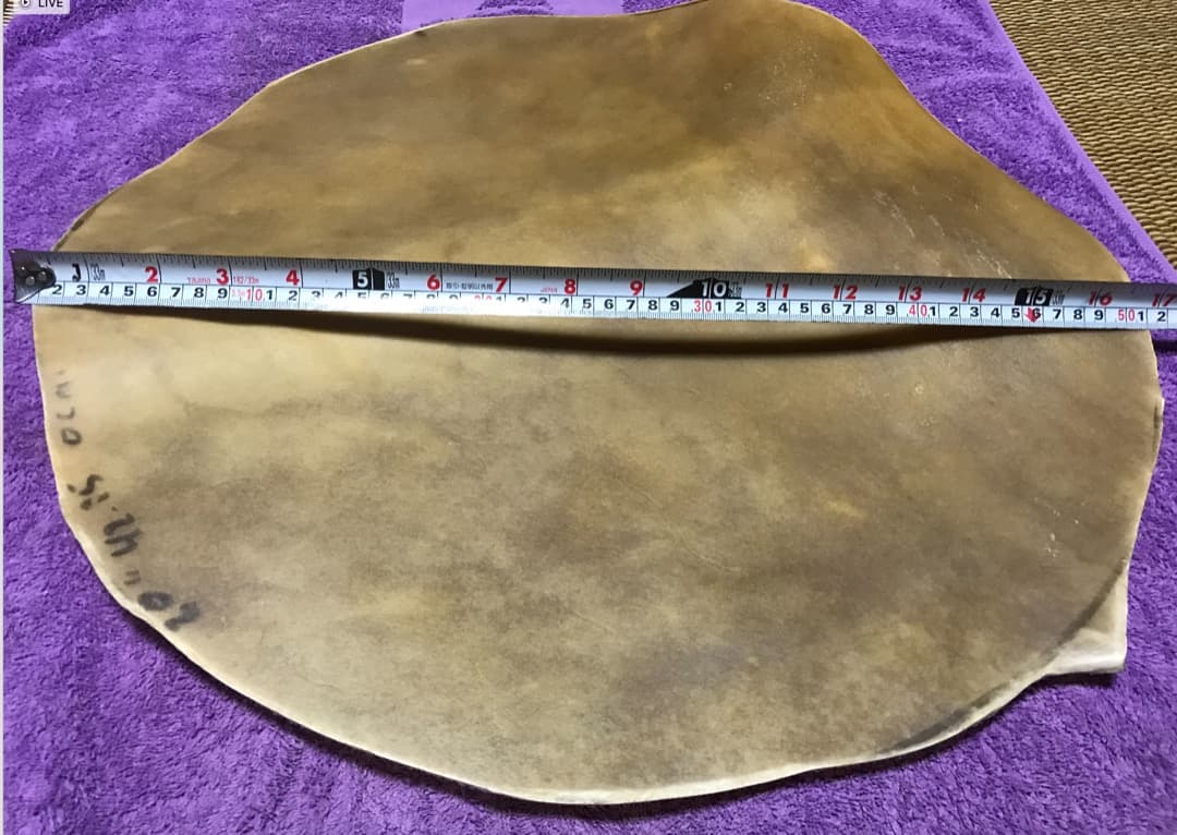 キューバ産コンガ用フラットヘッド