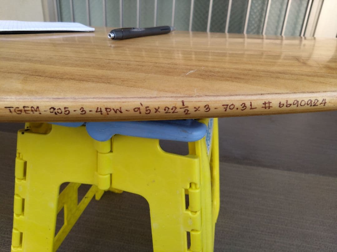 FIREWIRE the GEM 9'5\"×22 1/2\"×3 70.3L