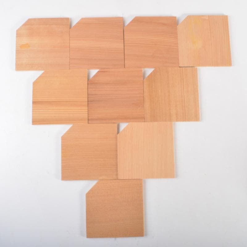 越前塗　松花堂　おもてなし揃　重箱　小皿　五客　N　5463A