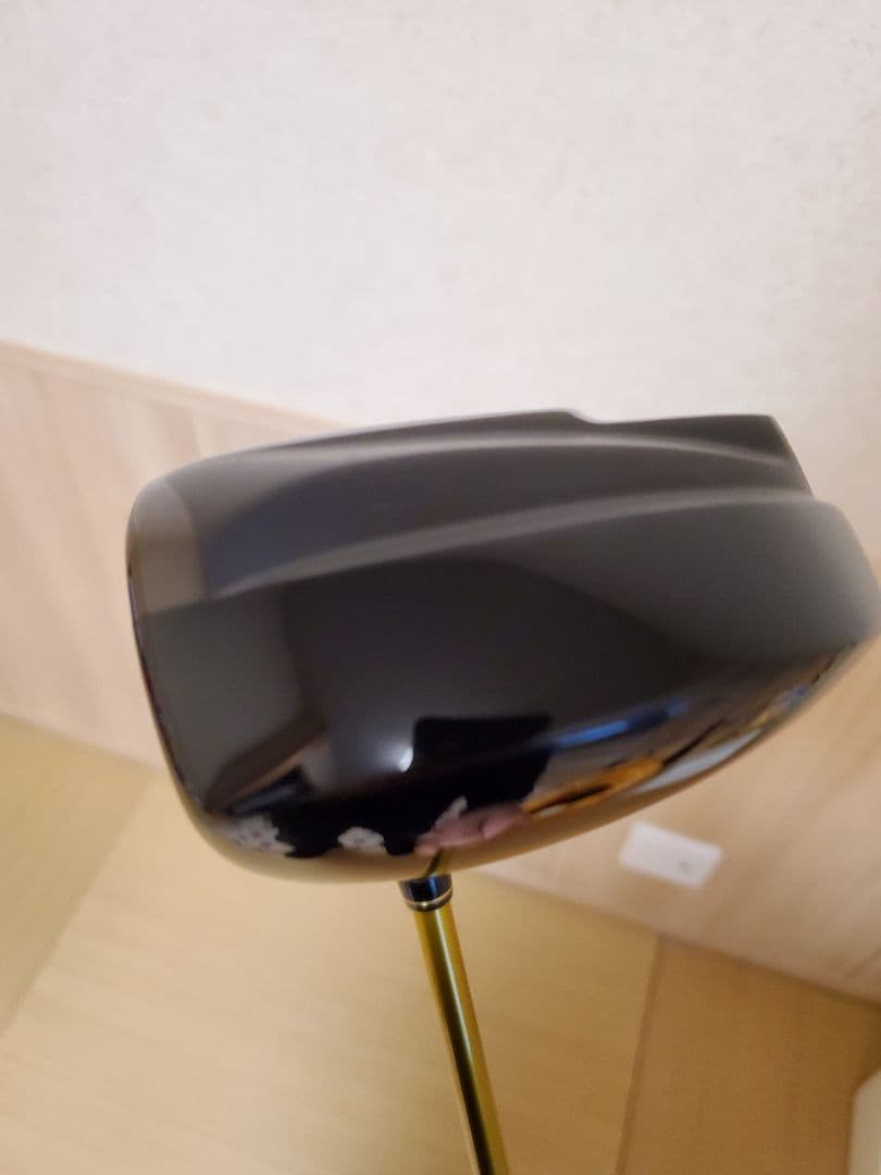 RomaRo Ray 435LX 10° ランバックス TYPE-X 55SR