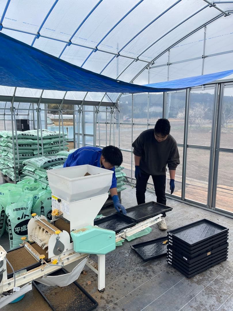 ⭐︎数量限定⭐︎新米 コシヒカリ 千葉県いすみ市産 20キロ　白米　無洗米