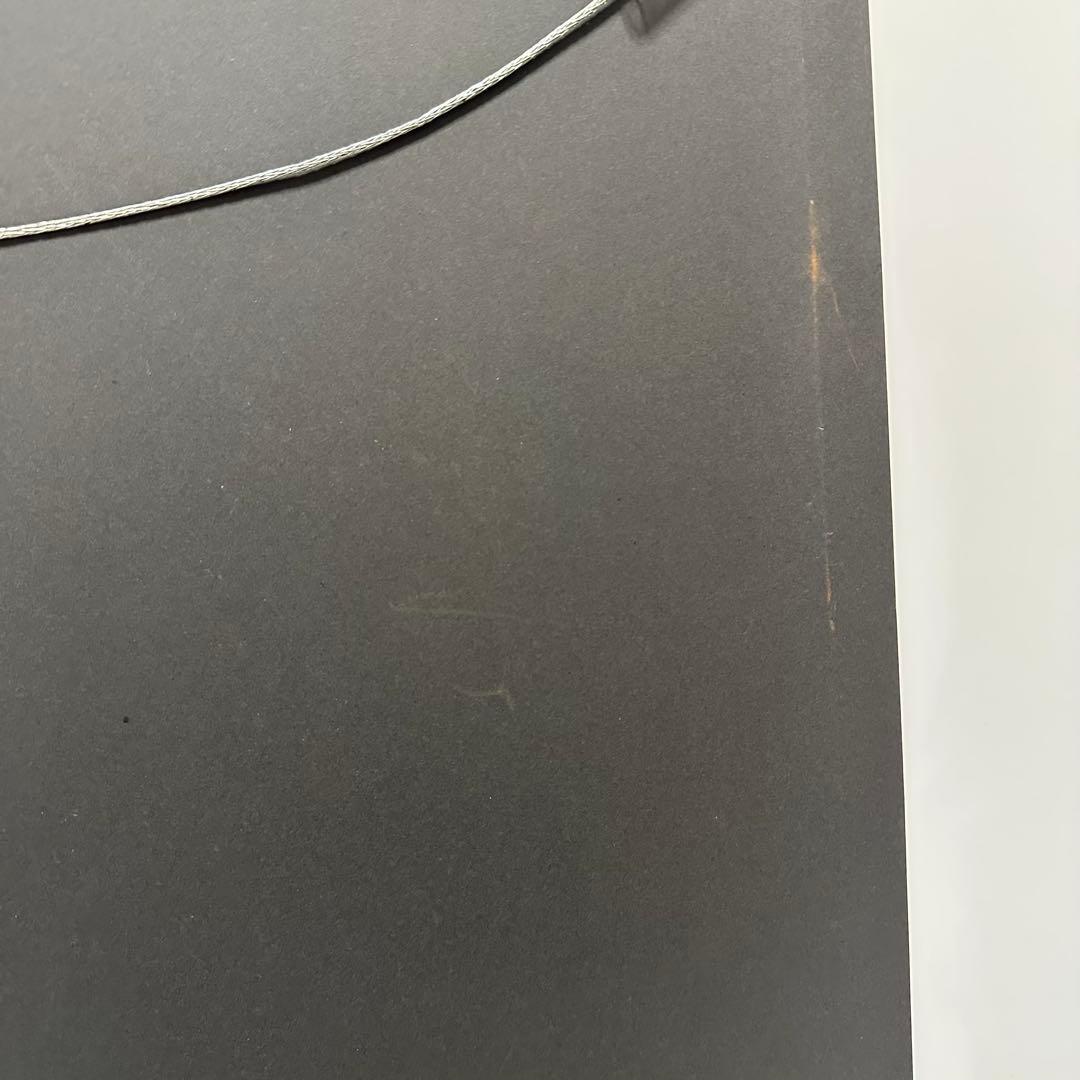 Francfranc　ビビットフラワーアート　ボタニカルアート　金