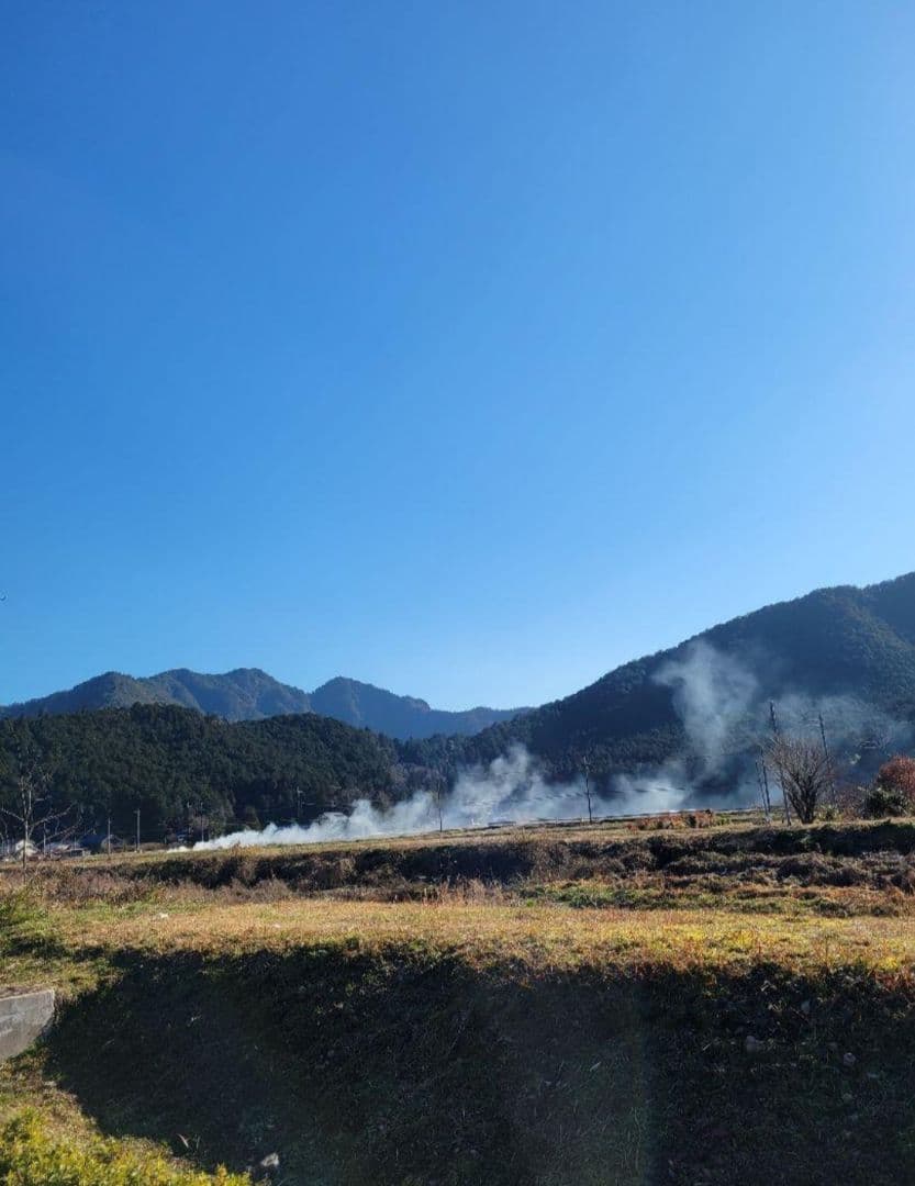 令和7年　兵庫県丹波産 農薬、除草剤不使用　新米コシヒカリ20キロ