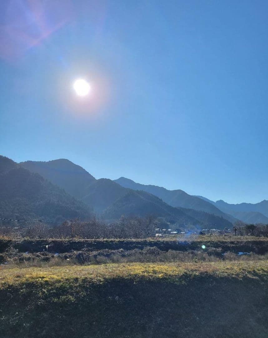 令和7年　兵庫県丹波産 農薬、除草剤不使用　新米コシヒカリ20キロ