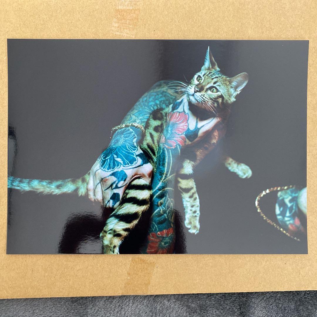 舐達麻 L字版 写真 APHRODITEGANG