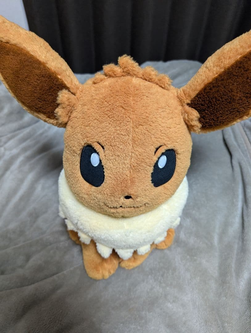 ピカピカボックス2026コイキングメス