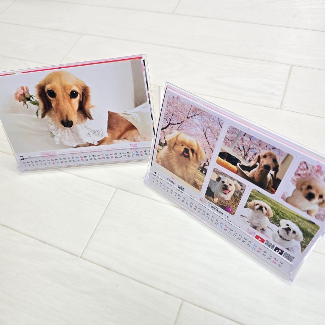 ②『犬』 卓上チャリティーカレンダー5枚セット