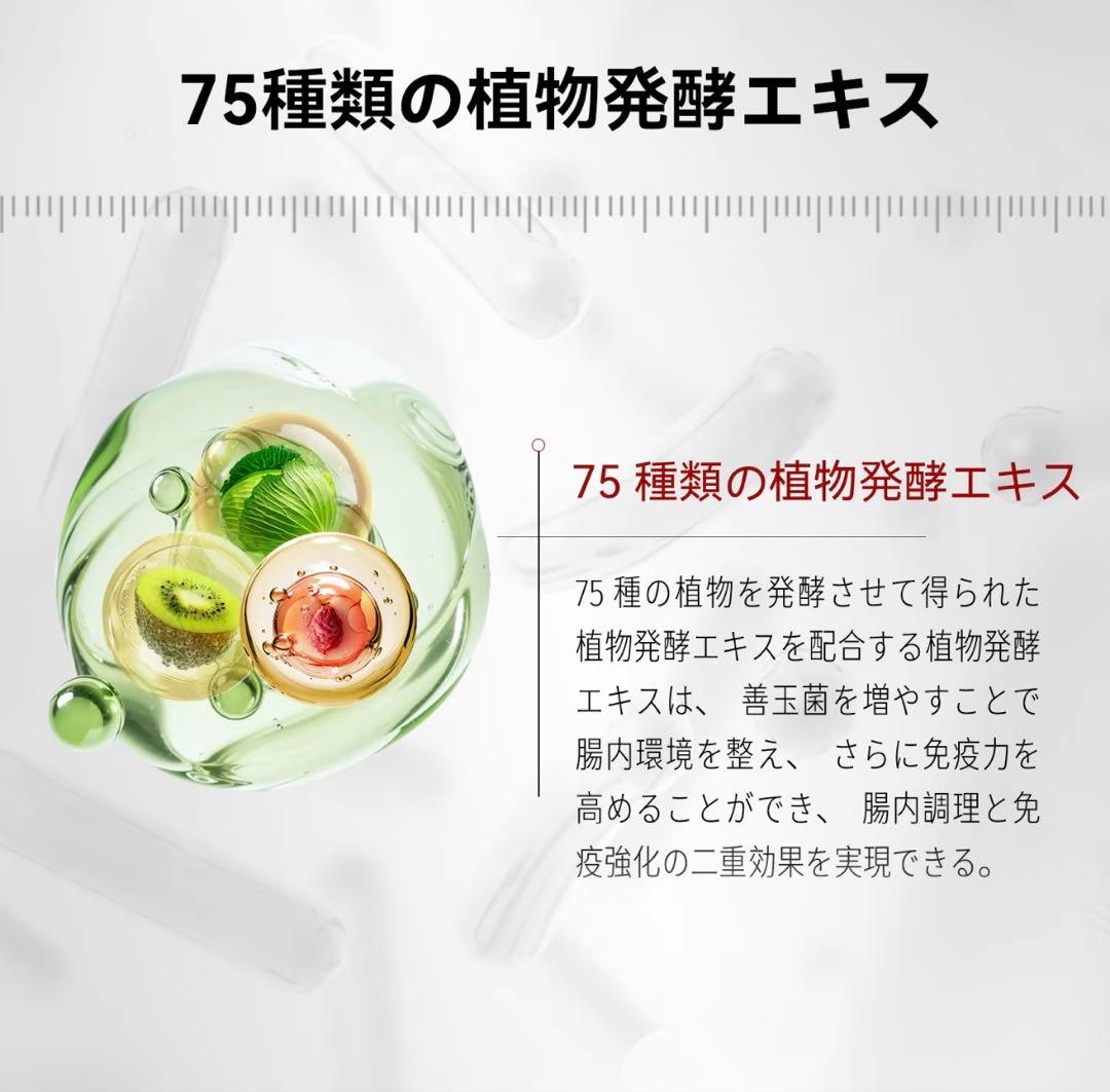 DDS RENOVATIO 乳酸菌 サプリ バイオエッセンス