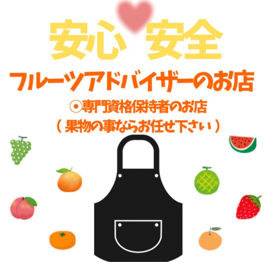 ④高知特産 露地栽培 土佐文旦 4L限定 文旦 約20kg 大玉 サイズ