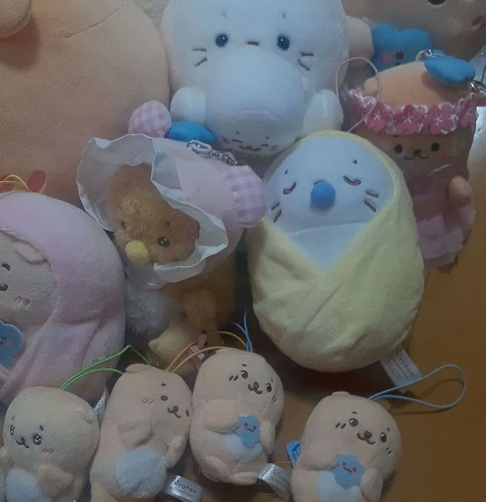 《期間限定お値下げ》しろたんグッズ　ラッコ犬