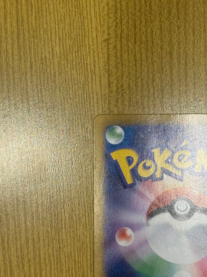 メガリザードンX ex SAR その他　おまけ