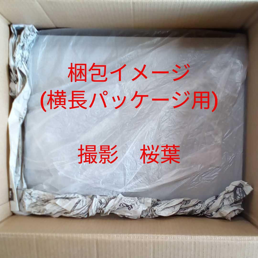 ガンダムw ガンプラ mg ガンダムデスサイズヘル　ew 未組立 内袋未開封