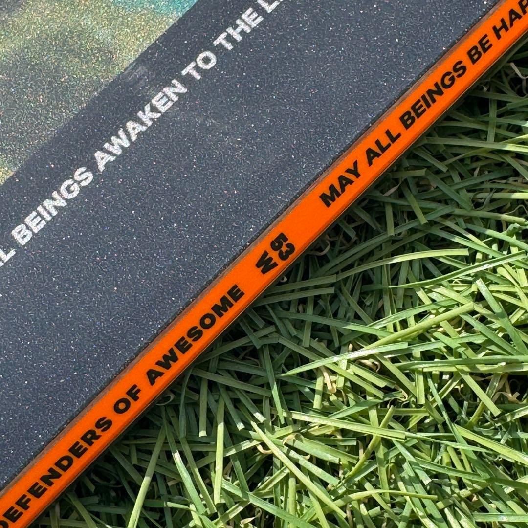 美品 23/24 CAPiTA DOA WIDE 153cm