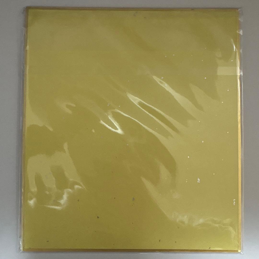 鬼滅の刃 時透無一郎 色紙 ミニ色紙 セット まとめ 計11枚