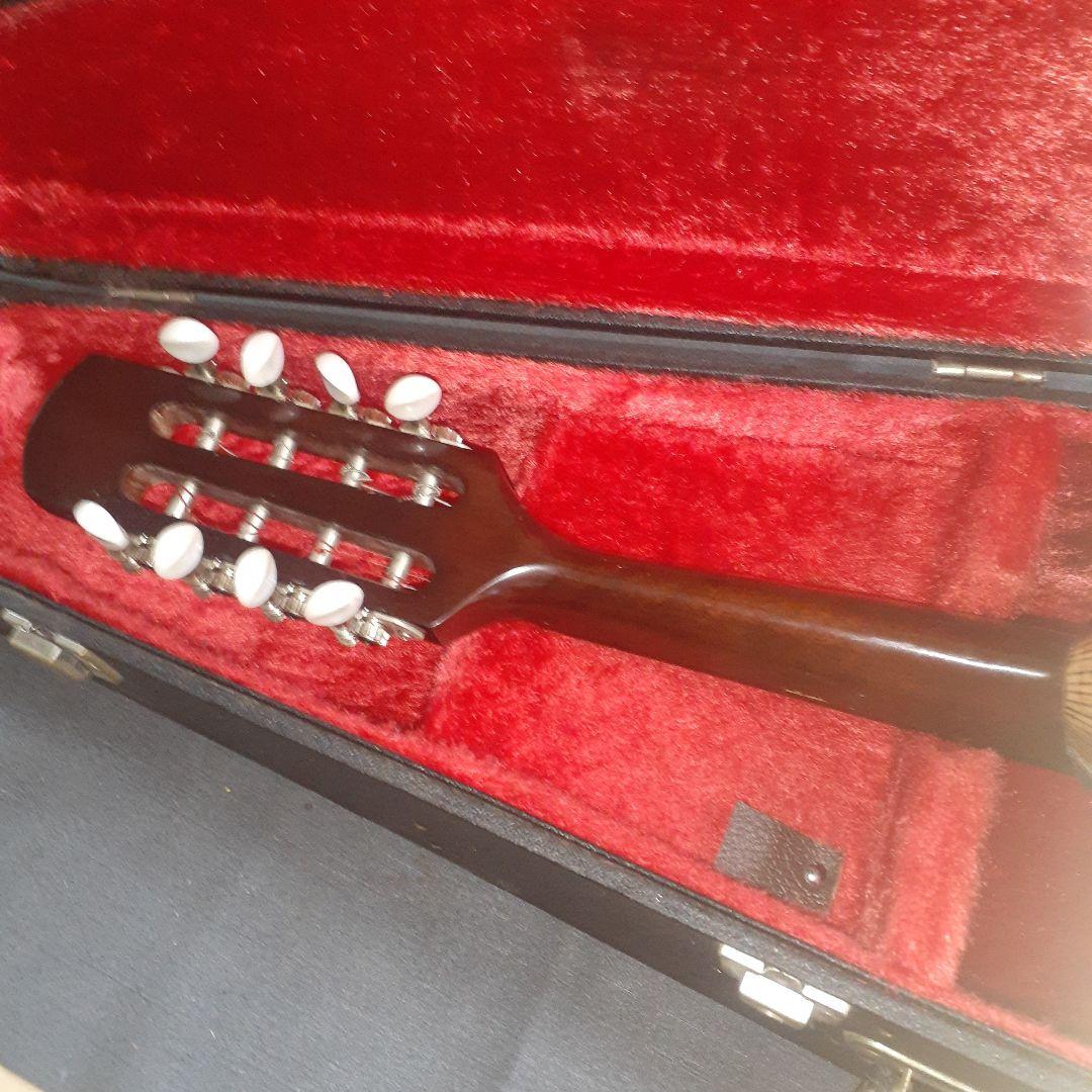 SUZUKI M-30 スズキ マンドリン 鈴木 ハードケース付 セット